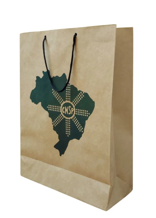 Sacola de Papel Personalizada-108314