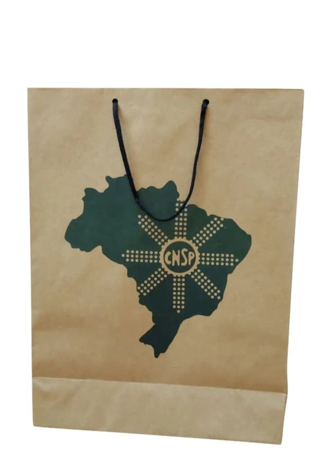 Sacola de Papel Personalizada-108314