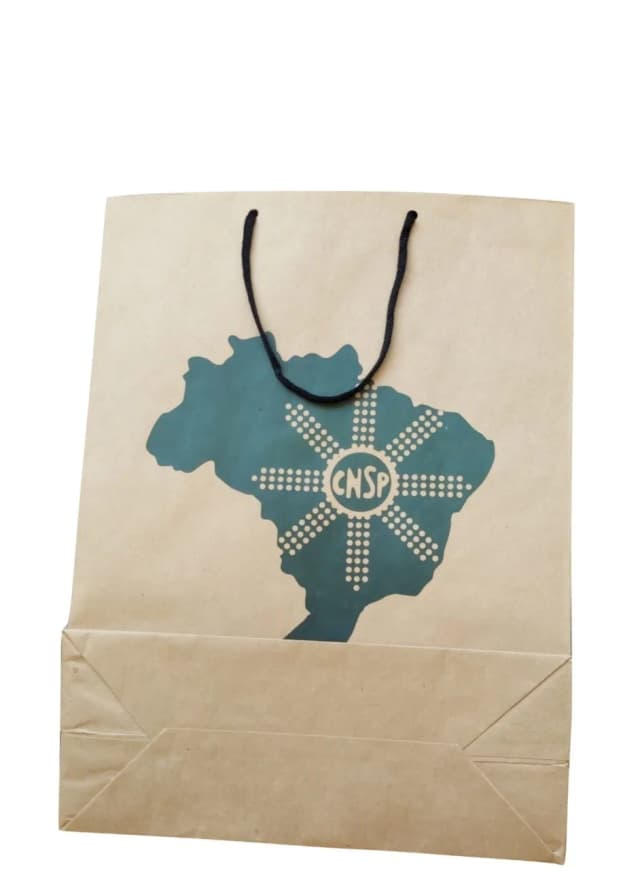 Sacola de Papel Personalizada-108314