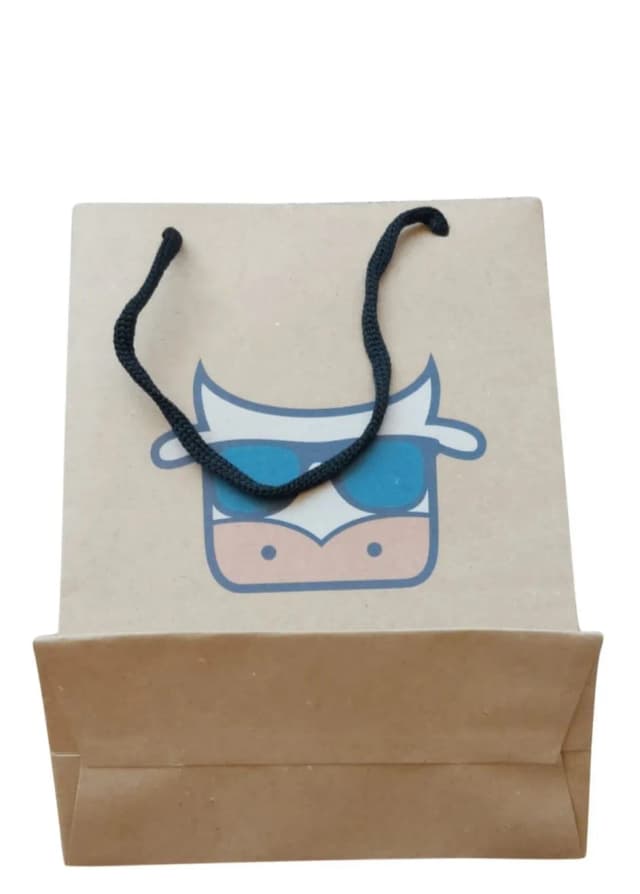 Sacola de Papel Personalizada-10838